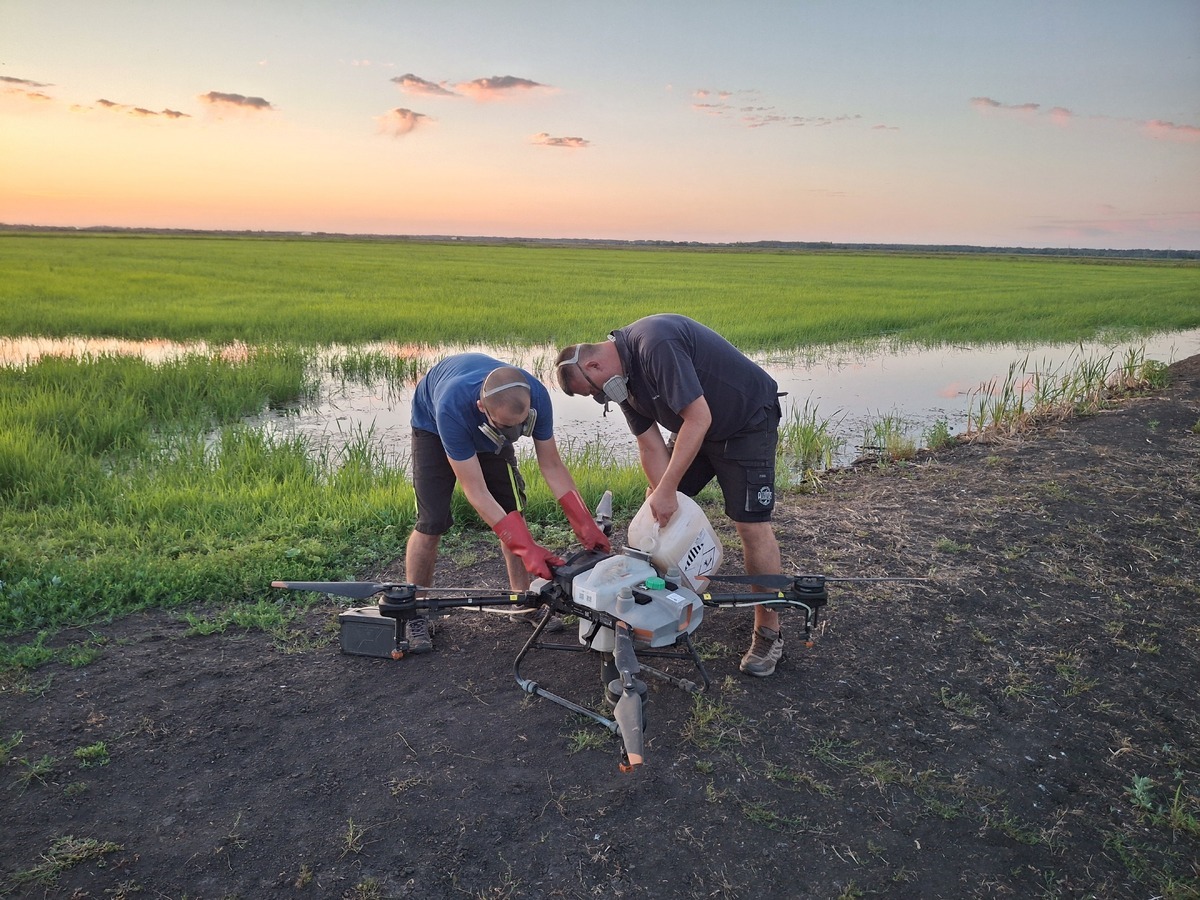Alföld Drone team members servicing DJI T10 agricultural drone in the field / Az Alföld Drone csapattagjai a terepen szervizelik a DJI T10 mezőgazdasági drónt