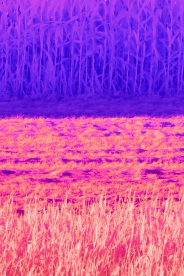 wolfgang-hasselmann - Unsplash - hõkamerás viszgálat