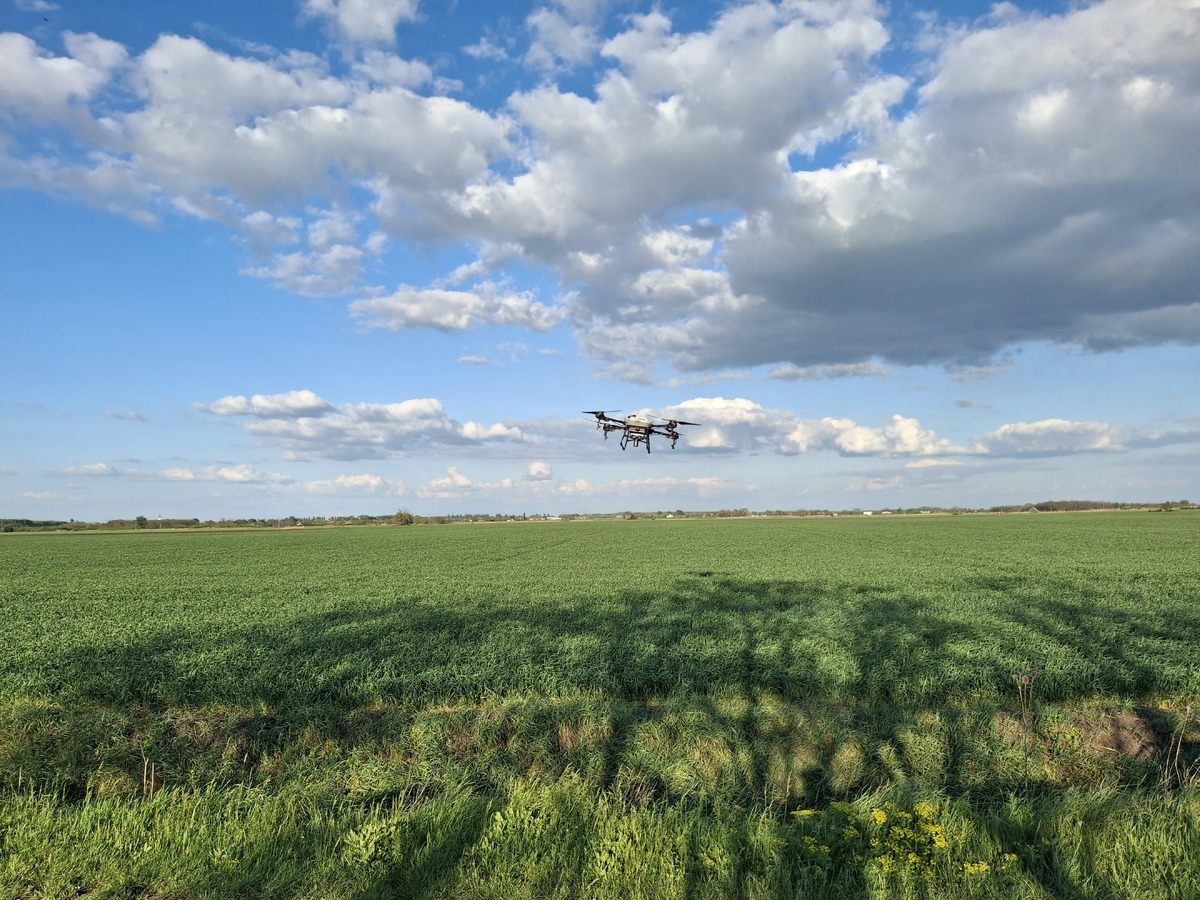 Alföld Drone precíziós permetezés, Békés vármegye, Magyarország / Alföld Drone precision spraying, Békés County, Hungary